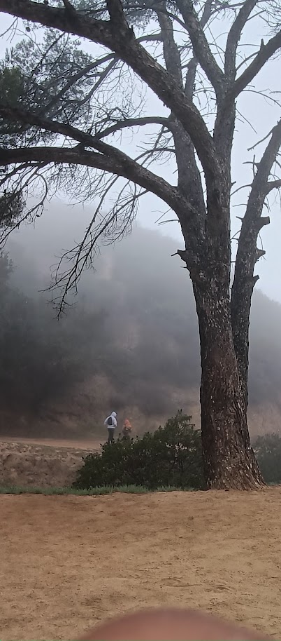 fog at the hills los angeles